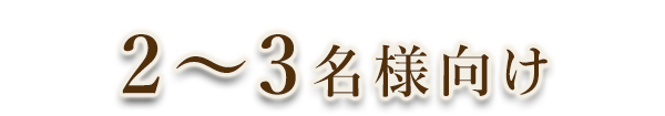 2～3名様向け中華オードブル